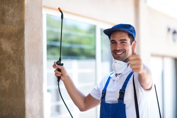 Corsicana Wasp Removal