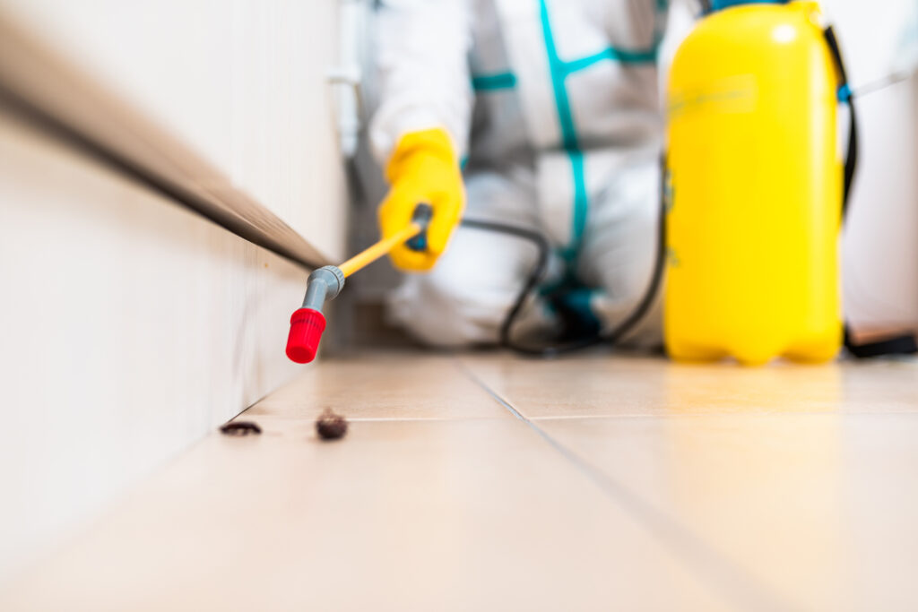 Corsicana Cockroach Experts