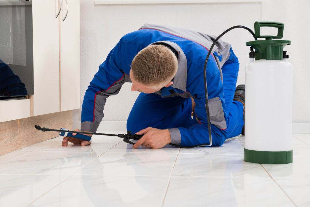 Corsicana Ant Control Xperts