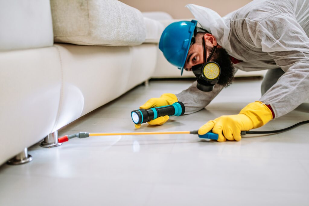 Corsicana Termite Control