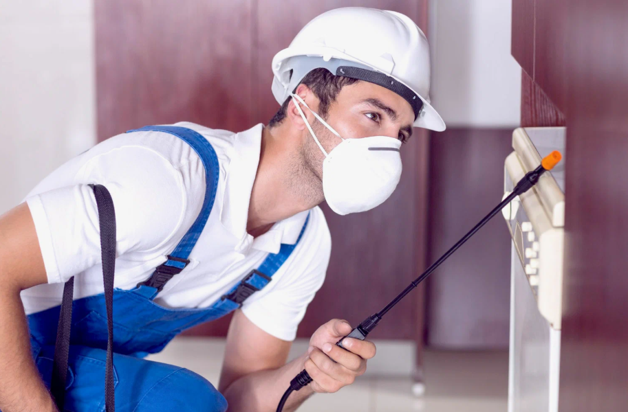 Corsicana local pest services