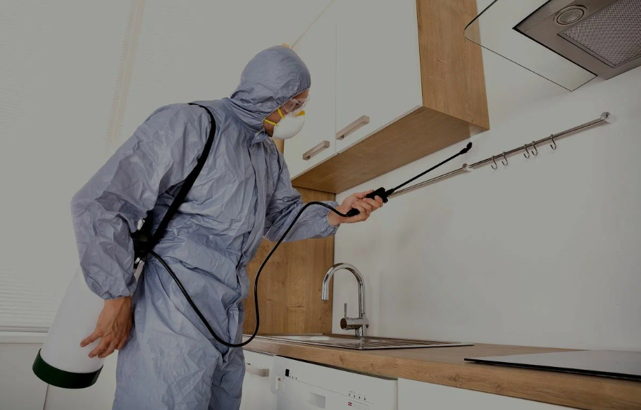Corsicana pest managment