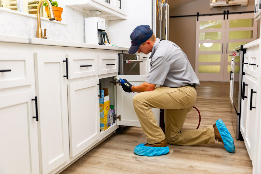 Corsicana xpert pest management